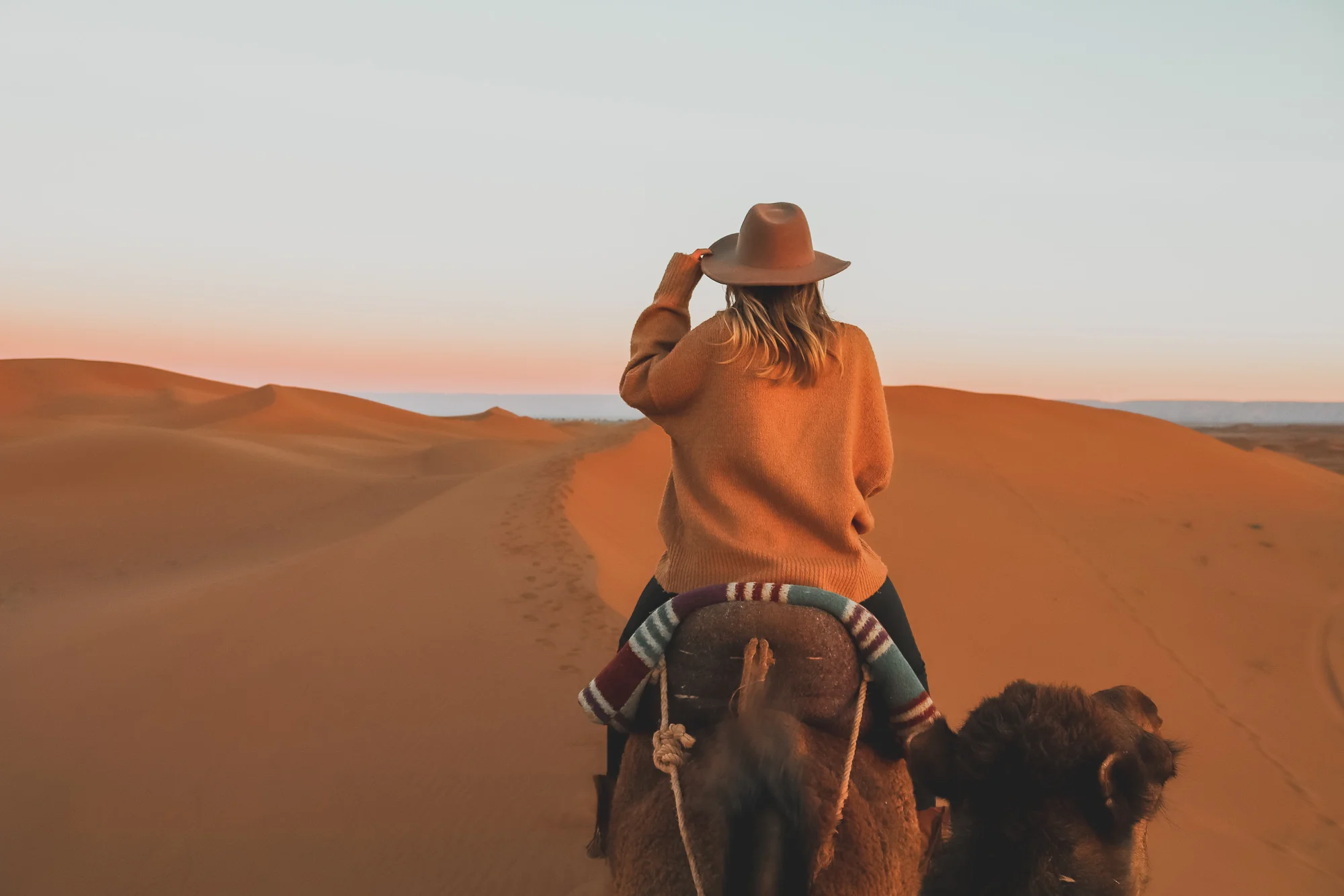 Camel trek at sunrise