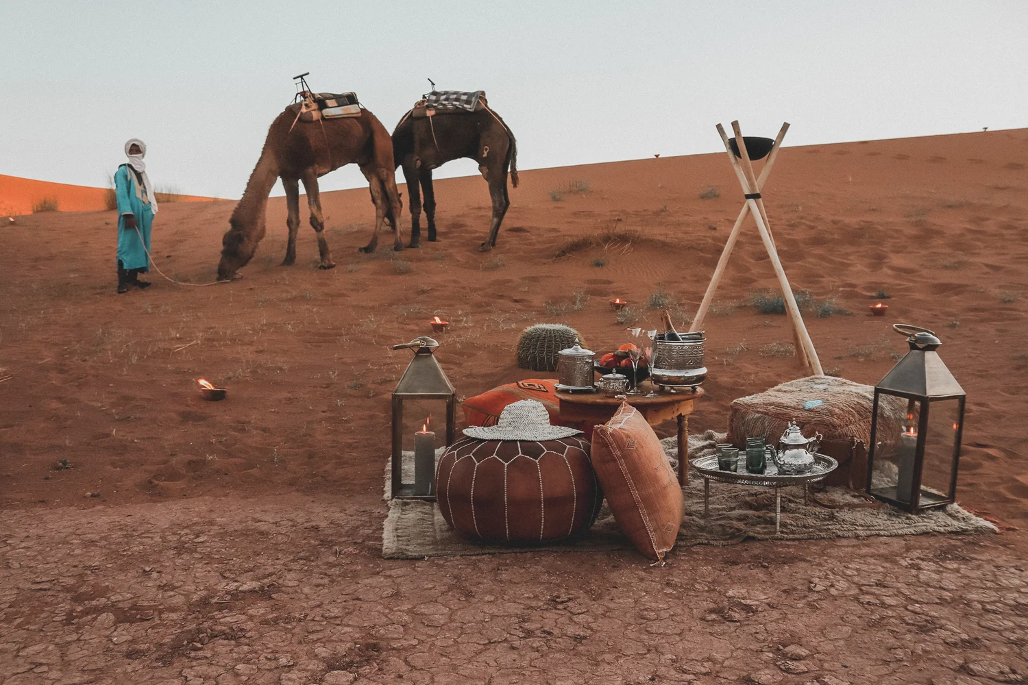 Camel trek at golden hour