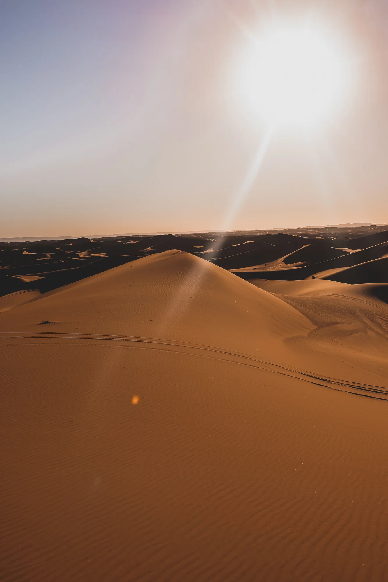 The Wildlife of Erg Chegaga: Fennec Foxes, Gazelles, and the Quiet Biodiversity of the Moroccan Sahara