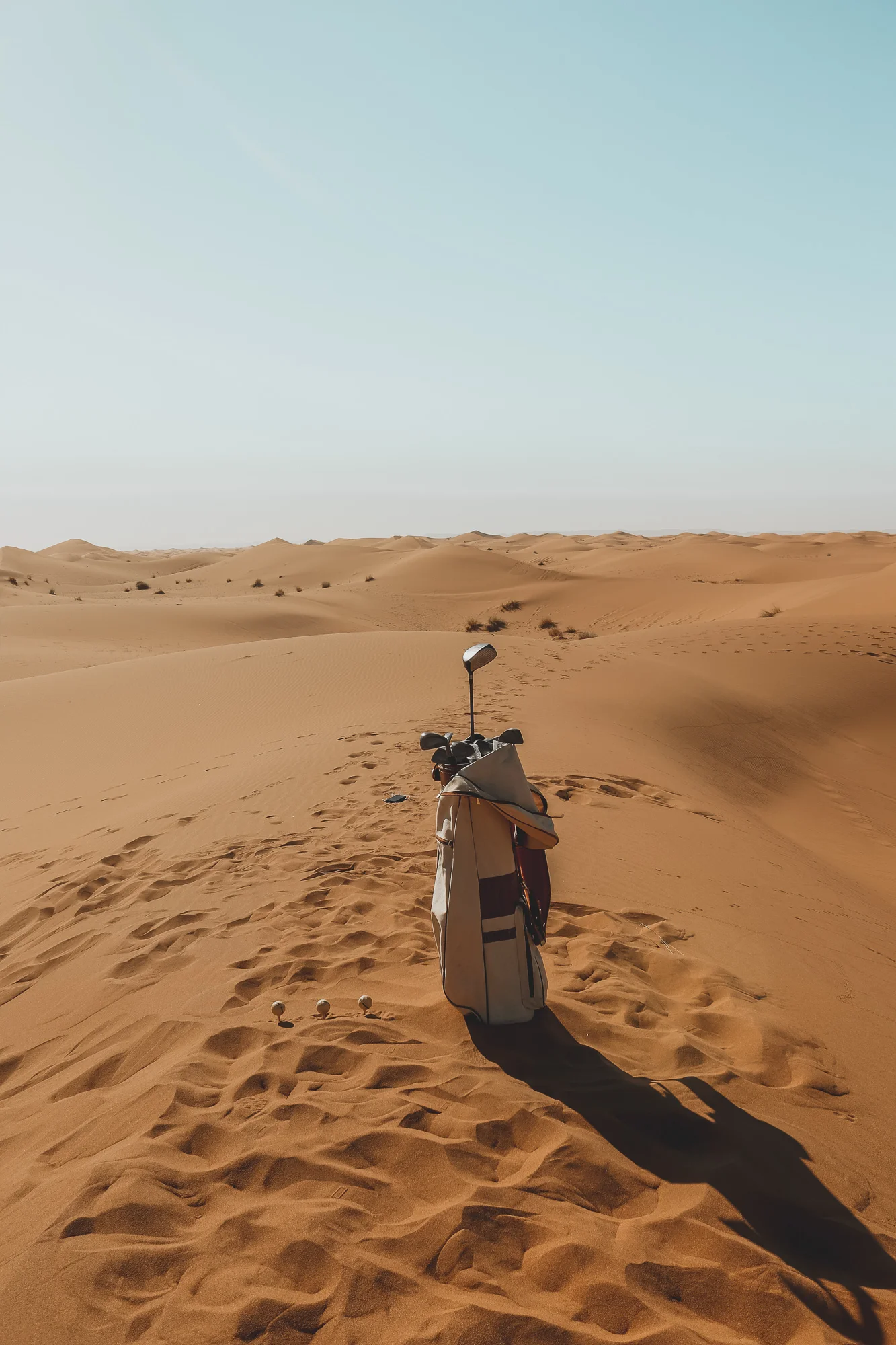 Camel silhouette at sunset