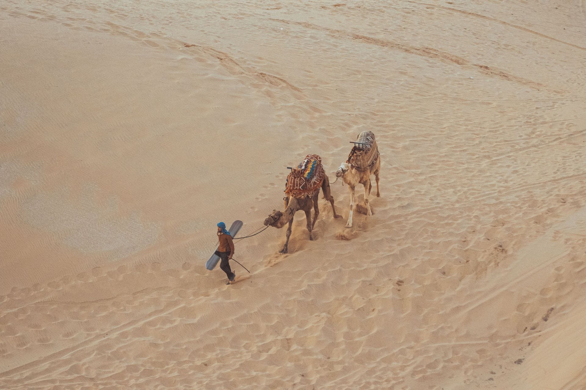 Seen from above, a guide in a blue turban leads two saddled dromedaries on foot across the dunes